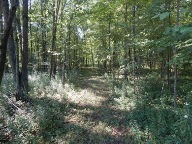 0 E Hayes Rd, Ashley, MI 48806 - photo 7