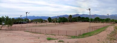 275 x 125 lit training arena