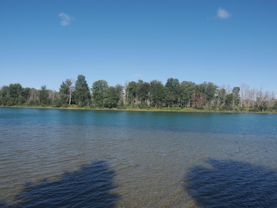 2039 Riverside Dr, Sault Sainte Marie, MI 49783 - photo 3