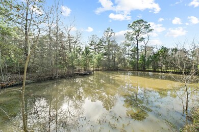 29326 Dobbin Huffsmith Rd, Magnolia, TX 77354 - photo 5