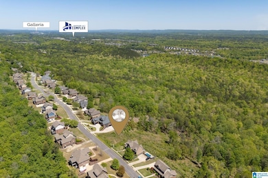 1776 Southpointe Dr unit 35, Hoover, AL 35244 - photo 3