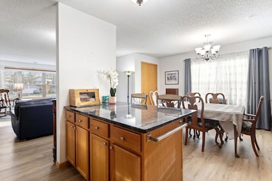 2231 N Penn Place unit 201, North Saint Paul, MN 55109 - photo 6