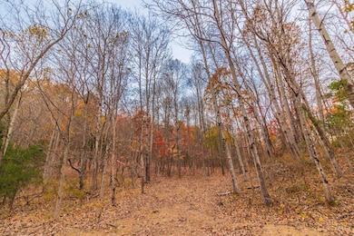 1186 Tulip Rd, Lynx, OH 45650 - photo 7