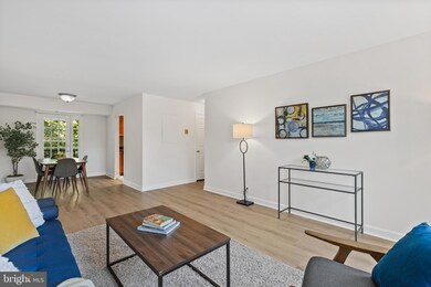 4821 31st St S unit B1, Arlington, VA 22206 - photo 5