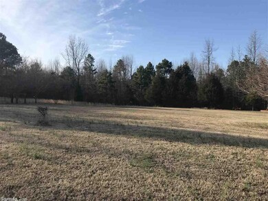 3012 Mount Carmel Rd, Paragould, AR 72450 - photo 7