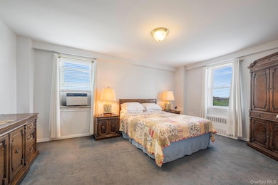 Bedroom with dark colored carpet and radiator heating unit