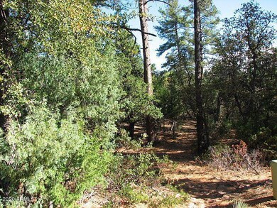 1104 N Button Brush Court