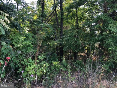 0 Ritter Rd, Shawnee, VA 22602 - photo 5