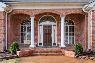 elegant front
