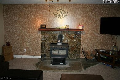 16132 State Route 301, Lagrange, OH 44050 - photo 6