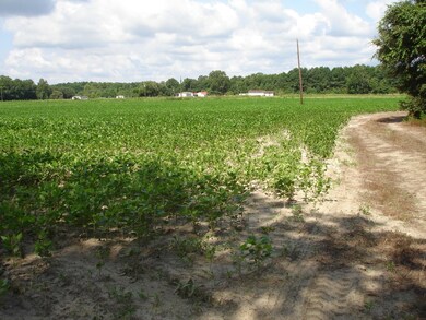 Toogoodoo Rd - Carr (6)