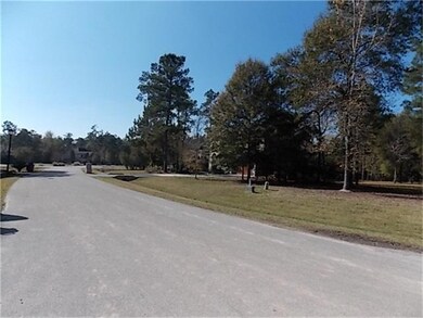 27710 Braydon Ct, Spring, TX 77386 - photo 6