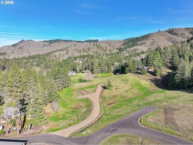 1 Graham Ln, Whitesalmon, WA 98672 - photo 7