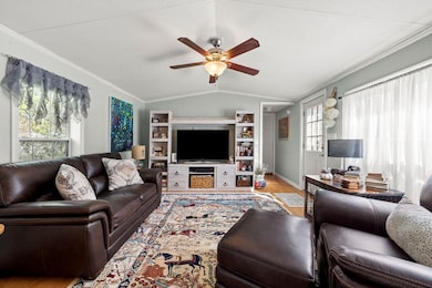 Living Room - Cathedral Ceiling
