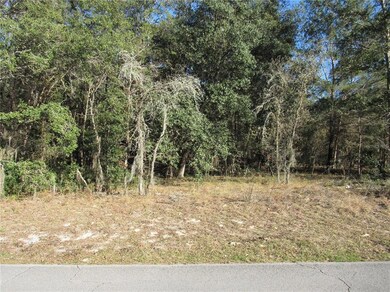 Build Your New Florida Dream Home On This 1/2 Acre (0.46) Property -Or- Purchase For Investment.