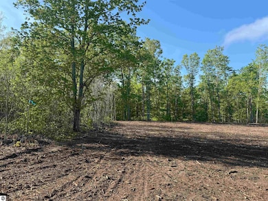 1060 E Solaris Way, Maple City, MI 49664 - photo 5