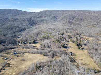 TBD Laurel Fork Rd, Rocky Gap, VA 24366 - photo 4