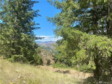 0 Wildcat Ridge Rd unit 1636795, Twisp, WA 98856 - photo 4