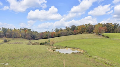000 Matson Rd, Jonesborough, TN 37659 - photo 4