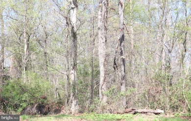 0 Fairlee Rd, Chestertown, MD 21620 - photo 7