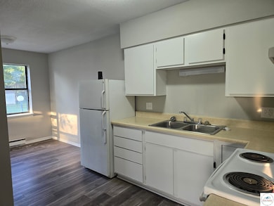 206 N Ohio St, Chilhowee, MO 64733 - photo 3