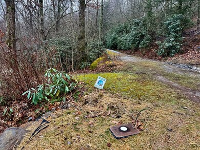 0 Satulah Ridge Rd unit 26042836, Highlands, NC 28741 - photo 5