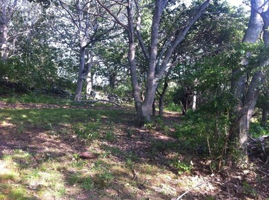 stonewalls