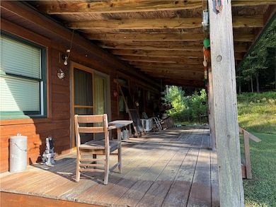 7755 Willow Brook Rd, Little Genesee, NY 14754 - photo 6