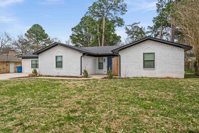 2804 2804 Redbud, Kilgore, TX 75662 - photo 5