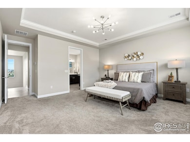 797 Flora View Dr, Erie, CO 80516 - photo 7