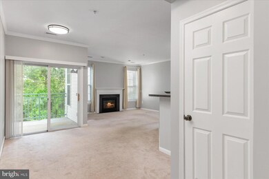 15618 Everglade Ln unit 306, Bowie, MD 20716 - photo 5