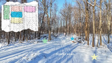 5 Forest Rd, Silver Creek Township, MI 49047 - photo 7