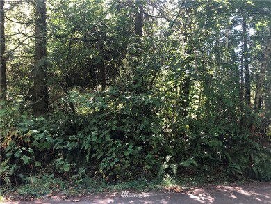 0 163rd Avenue Ct SW, Longbranch, WA 98351 - photo 6