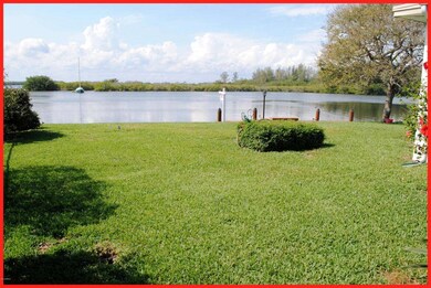 Back of Yard Facing West