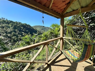 907 Carr Km 2, Canovanas, PR 00729 - photo 2