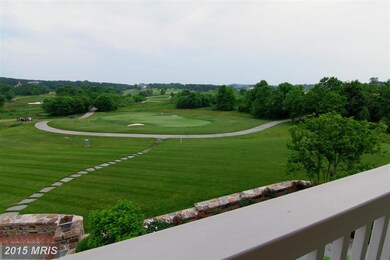 22364 Wilson Meadows Ln, Aldie, VA 20105 - photo 7