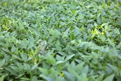 0 B Hwy unit HMS2563523, Coffey, MO 64636 - photo 6