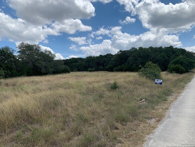 20124 High Bluff Rd, Helotes, TX 78023 - photo 3