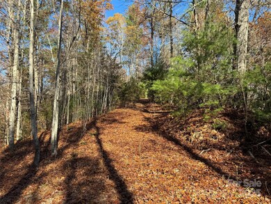 Site 5 Woodfen Ln, Lake Lure, NC 28746 - photo 7