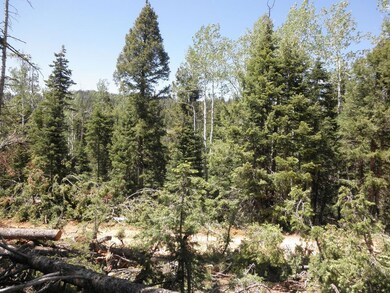 905 W Twisted Trail unit ZVME Un E Lot 113, Duck Creek Village, UT 84762 - photo 7