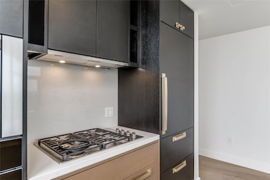 Kitchen featuring dark cabinets, light wood-type 