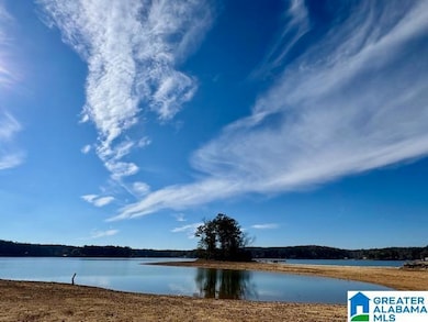 209 Pitchford Way, Alexander City, AL 35010 - photo 7