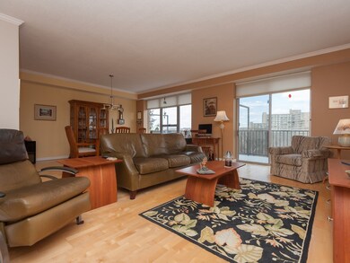 Imperial Towers unit 3, Chestnut Hill, MA 02467 - photo 3