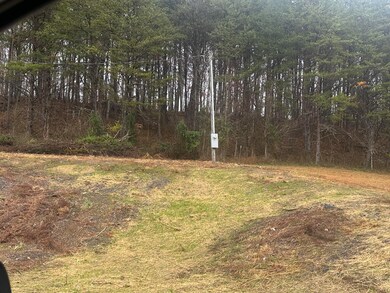 293   Lot 3 Freeman Branch Rd unit Lot 3, East Bernstadt, KY 40729 - photo 2