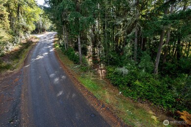 11104 Matthews Way, Anderson Island, WA 98303 - photo 6