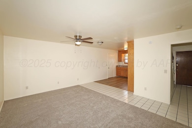 5505 SW 34th Ave, Amarillo, TX 79109 - photo 6