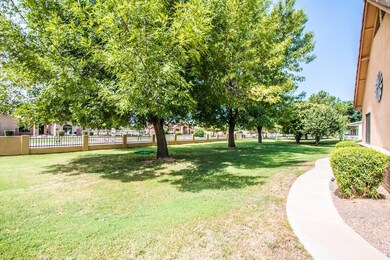 15236 E Via Del Palo AZ-6