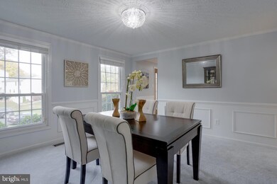 8681 Young Ct, Springfield, VA 22153 - photo 5