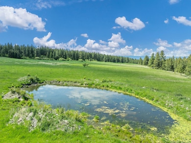 85388 Buford Rd, Enterprise, OR 97828 - photo 3