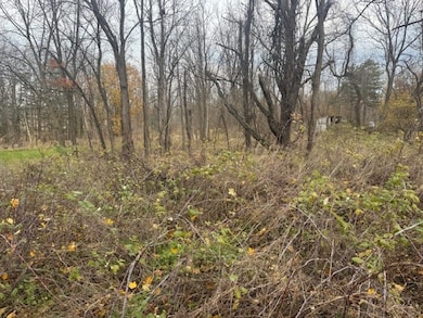 3784 Rush Mendon Rd, Mendon, NY 14506 - photo 7